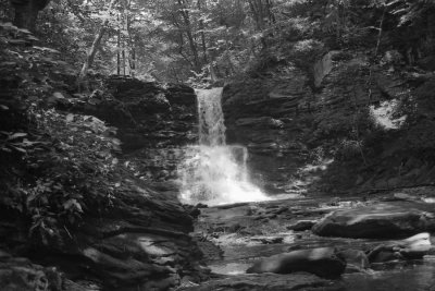 Sheldon Reynolds Falls