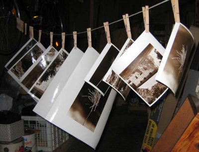 Prints Drying