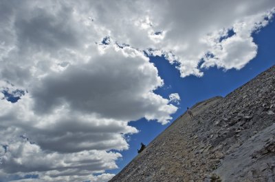 Rose Descending Mt Washington