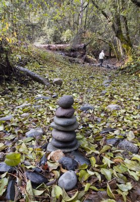 A FauxWorthy Walk in the Woods - Oregon Creek 2006