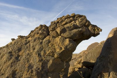 Joshua Tree Dinosaur