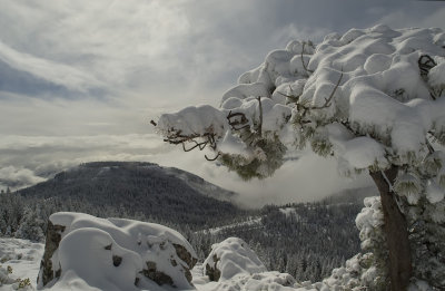 Bent Tree and Fir Cap storm clearing