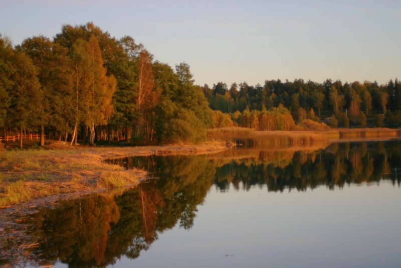 Reflection