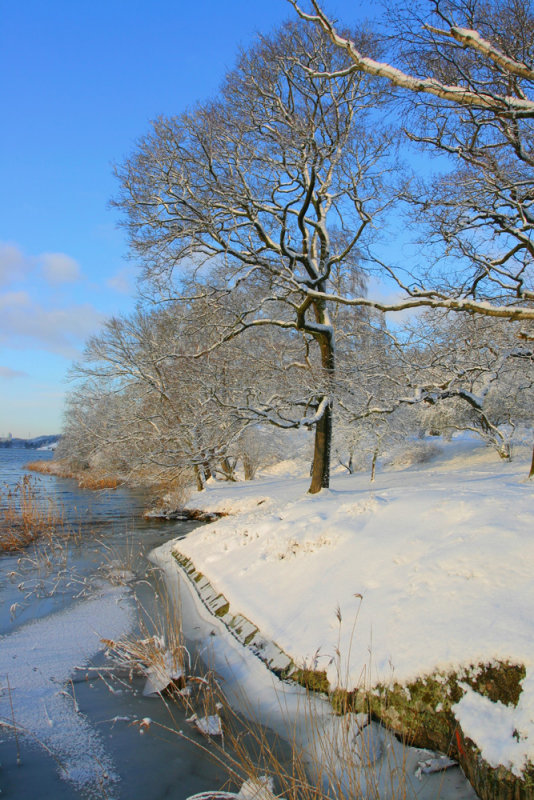 Brunnsviken