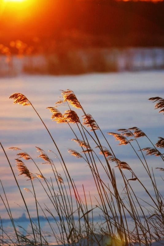 Sunset Colors