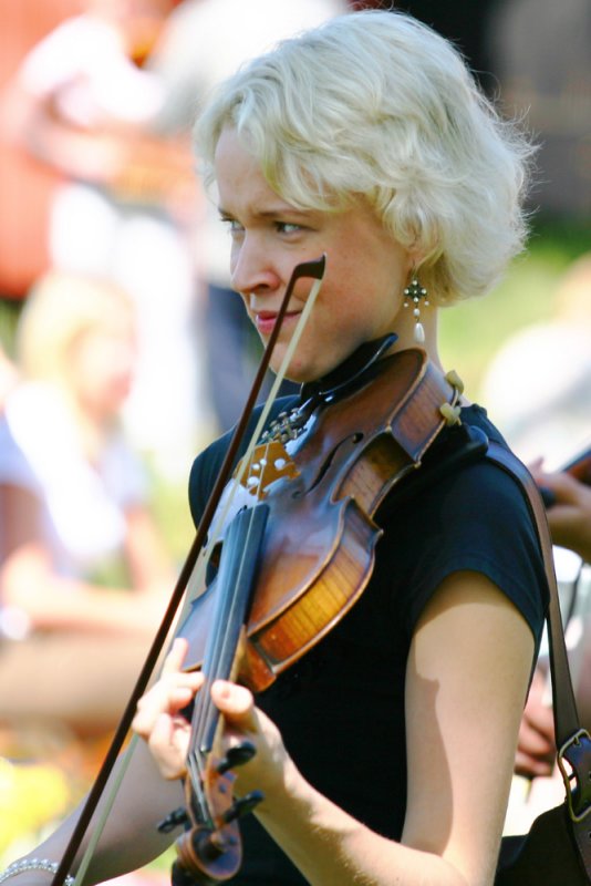 Fiddler