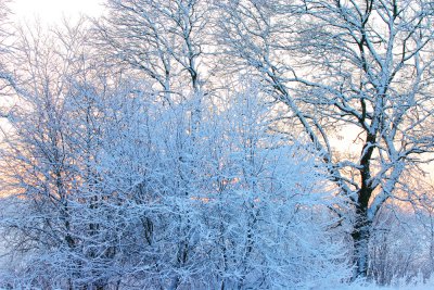 Winterland