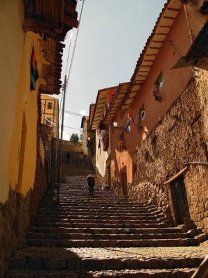 Cosco Arequipa