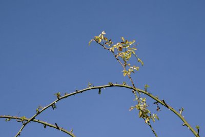 061022_Hoenggerberg_02.JPG