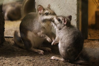061125_ZooZH_09.JPG