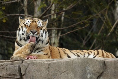 061231ZooZH100.JPG