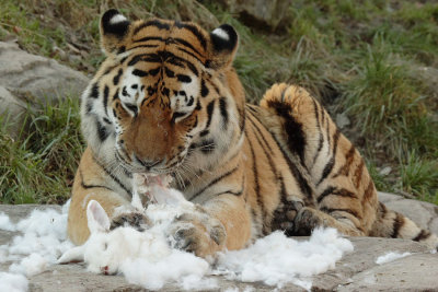 070113ZooZH032.JPG
