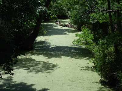 bayou bend