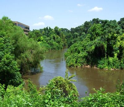 bayou view - Omni Hotel-Houston