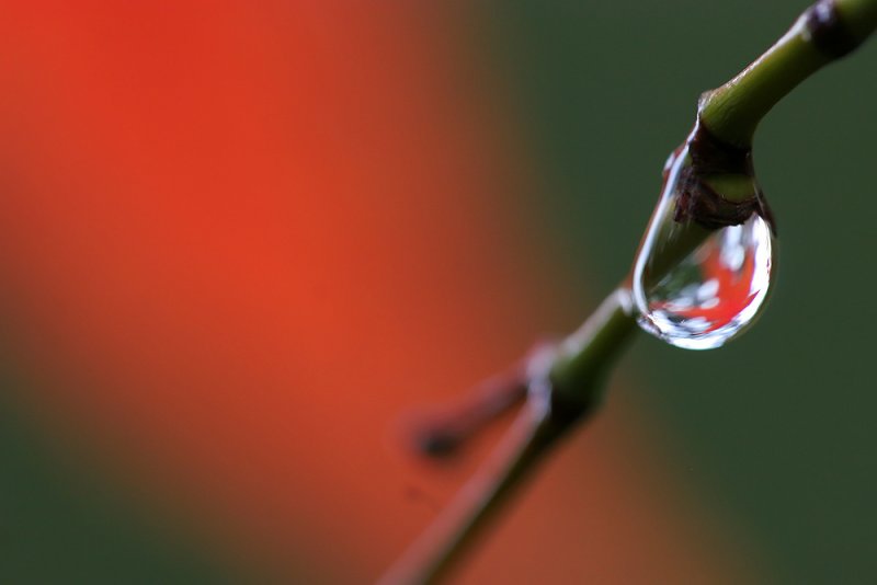 Water Droplet