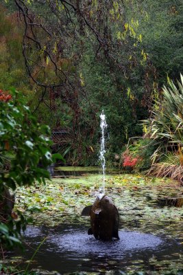 Fish Fountain