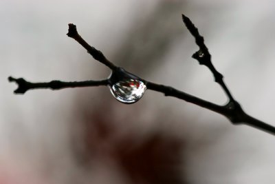 Water Droplet