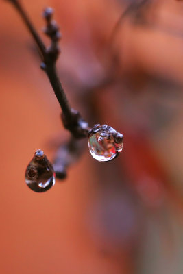 Water Droplet