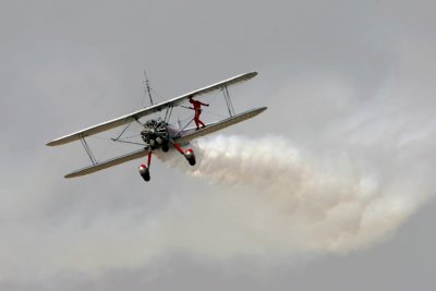 Wing Walker