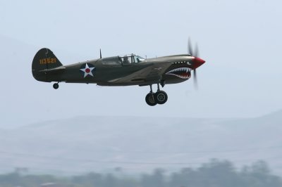 P-40