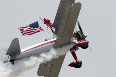 Wing Walker