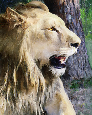 Furry 8x10