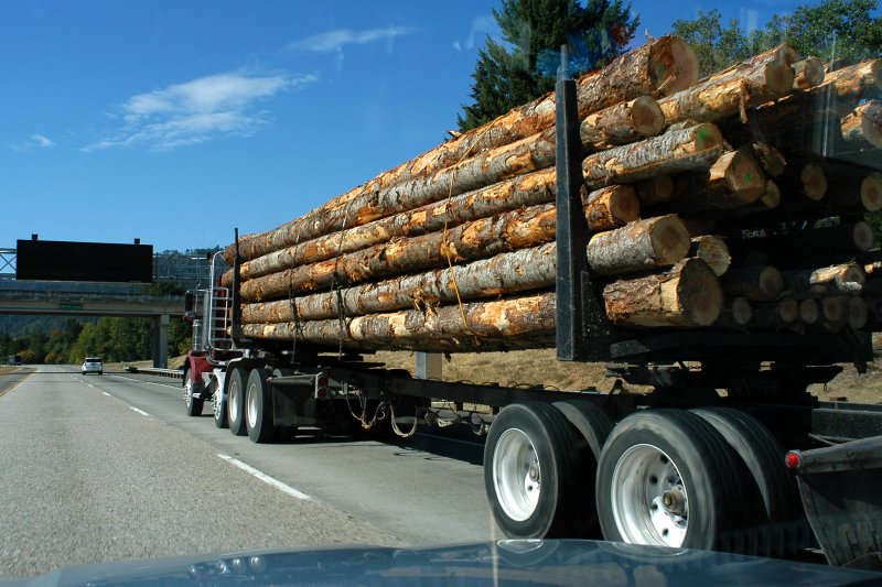Logging trucks and the paperless office