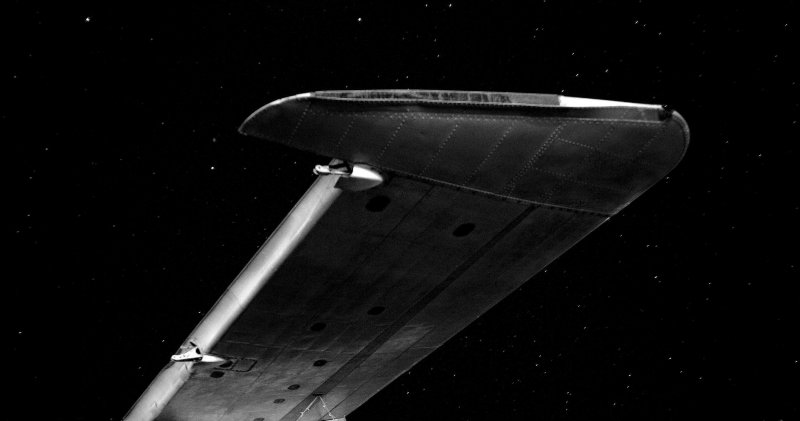 Wing and stars