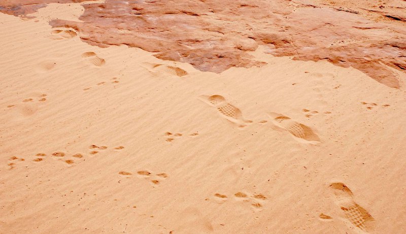 My tracks, someone elses faint tracks, animal tracks