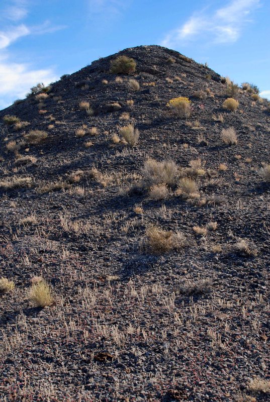 The Hill, up close