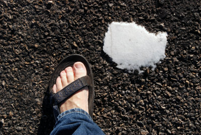 Flattened blob of salt on the asphalt access road