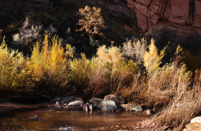 Negro Bill Creek
