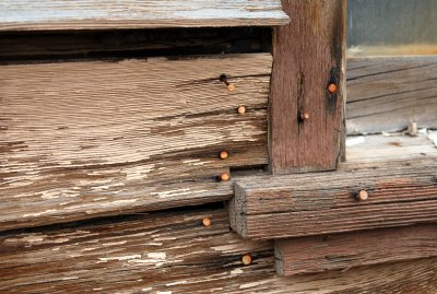 Nurses' barracks (detail of window frame)