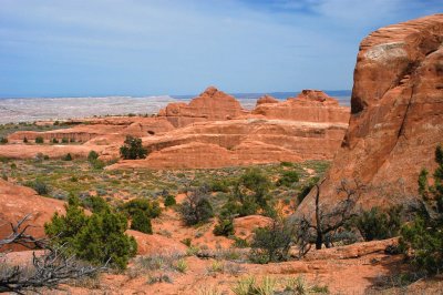 Landscape