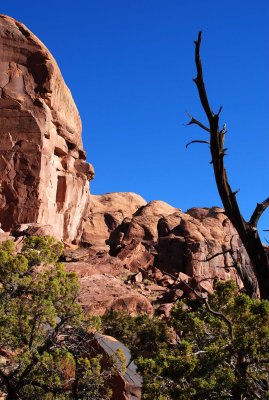 Artistic scene seen while ascending bouldery slope