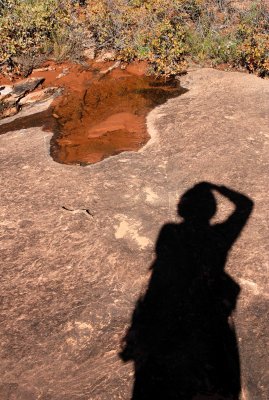 Shadow and puddle