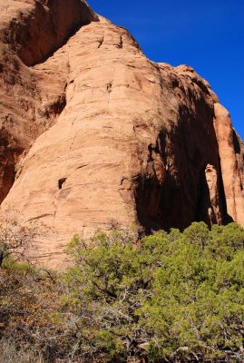 Buttress
