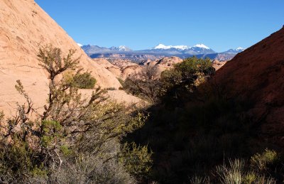 The route leads through bushes between fins