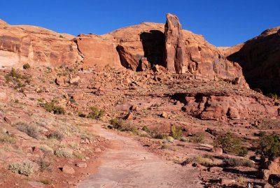 Looking back down the trail at a tower