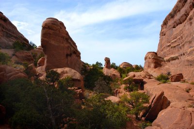 Rock garden