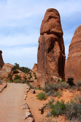 Trail scenery