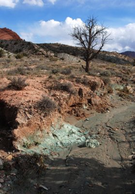 Morrison Formation color in dry wash