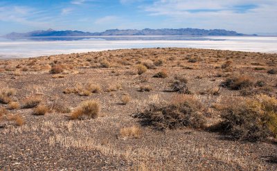 Plateau and playa, with Newfoundland Mountains in the distance