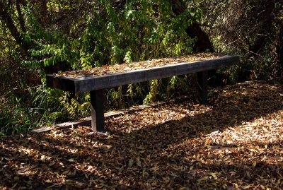 Leafy bench