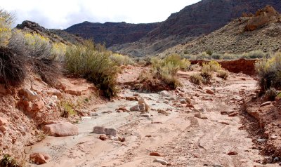 Recent heavy rain had scoured the wash