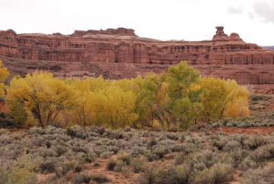The Tower of Babel and trees of Courthouse Wash