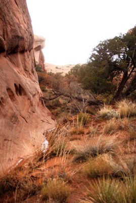 Continuing east along the base of the cliff