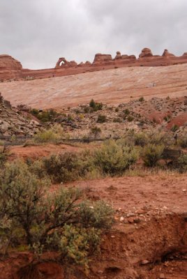 Delicate Arch seen from the wash in Cache Valley