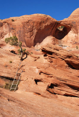 Ladder allows hikers to surmount a small wall