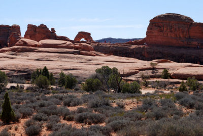Vegetated backside view of Delicate Arch
